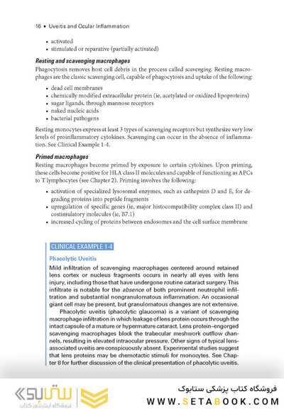 2024-2025 Basic and Clinical Science Course, Section 9: Uveitis and Ocular Inflammation