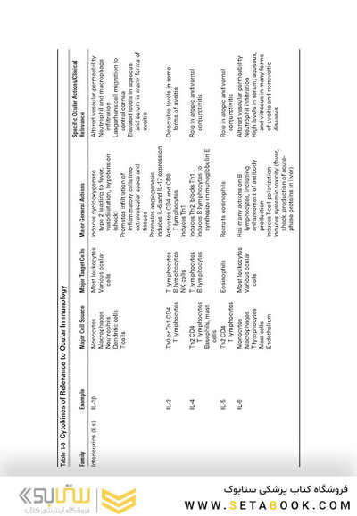 2024-2025 Basic and Clinical Science Course, Section 9: Uveitis and Ocular Inflammation