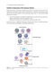 2024-2025 Basic and Clinical Science Course, Section 9: Uveitis and Ocular Inflammation