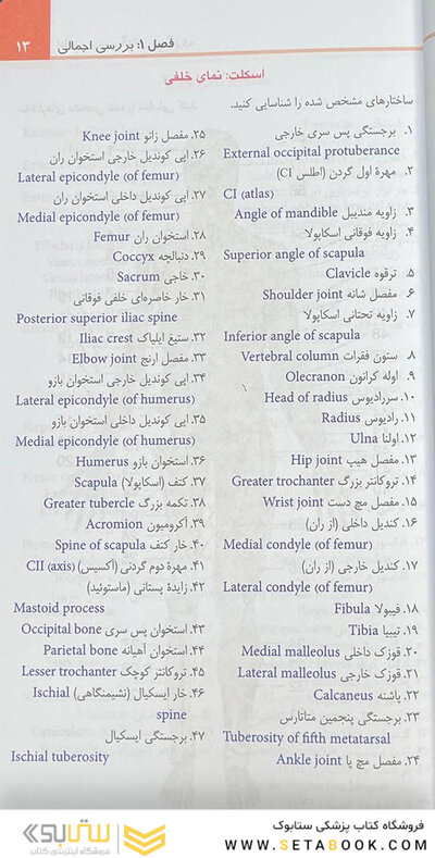 اطلس جیبی آناتومی گری برای دانشجویان 2024