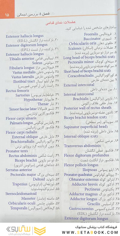 اطلس جیبی آناتومی گری برای دانشجویان 2024