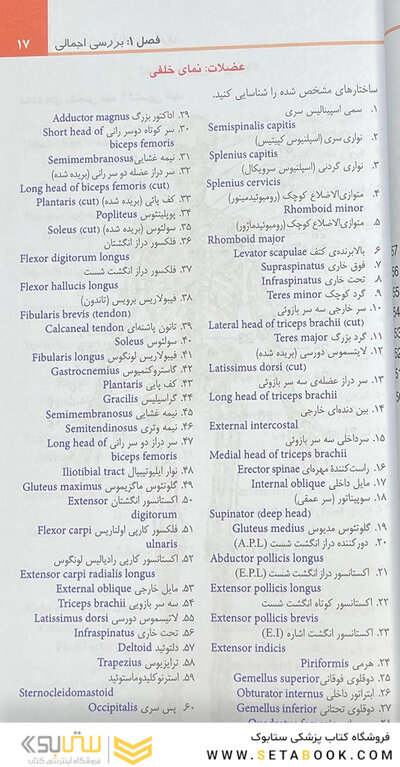 اطلس جیبی آناتومی گری برای دانشجویان 2024