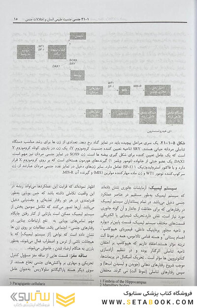 مرجع کامل روانپزشکی کاپلان - سادوک تمایلات جنسی هنجار و اختلالات جنسی 2025