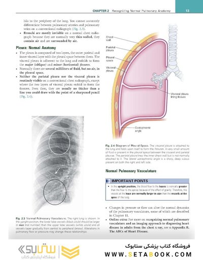 Learning Radiology Recognizing the Basics 5th Edition 2024