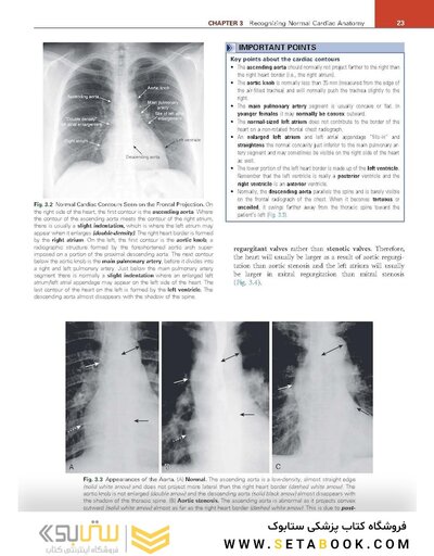 Learning Radiology Recognizing the Basics 5th Edition 2024