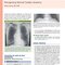 Learning Radiology Recognizing the Basics 5th Edition 2024