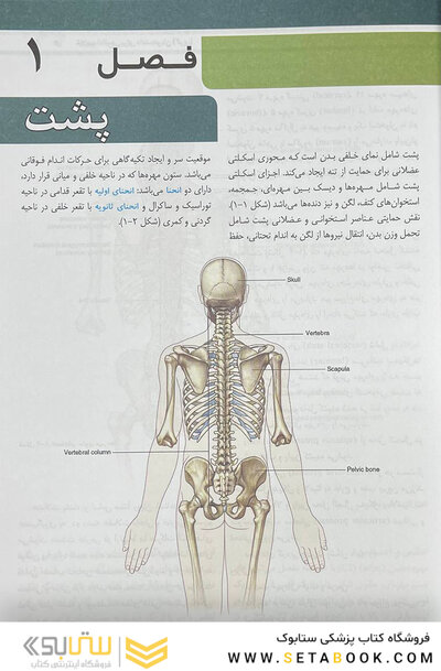 QRS خلاصه آناتومی گری برای دانشجویان
