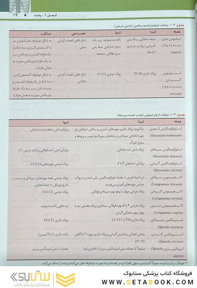 QRS خلاصه آناتومی گری برای دانشجویان