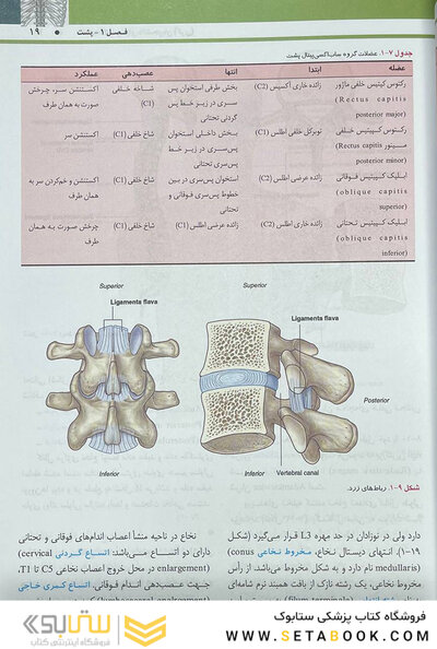 QRS خلاصه آناتومی گری برای دانشجویان