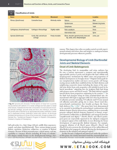 Firestein & Kelley’s Textbook of Rheumatology, 12th Edition 2025