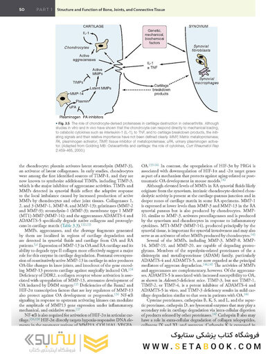 Firestein & Kelley’s Textbook of Rheumatology, 12th Edition 2025