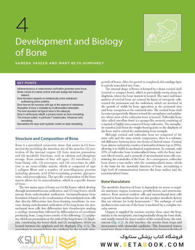 Firestein & Kelley’s Textbook of Rheumatology, 12th Edition 2025