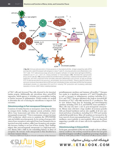 Firestein & Kelley’s Textbook of Rheumatology, 12th Edition 2025