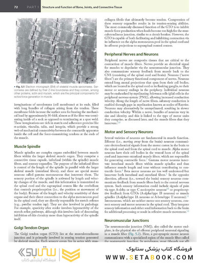 Firestein & Kelley’s Textbook of Rheumatology, 12th Edition 2025