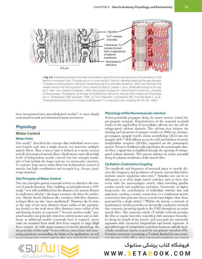 Firestein & Kelley’s Textbook of Rheumatology, 12th Edition 2025
