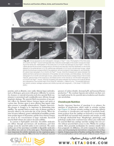 Firestein & Kelley’s Textbook of Rheumatology, 12th Edition 2025