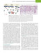 Firestein & Kelley’s Textbook of Rheumatology, 12th Edition 2025