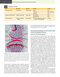 Firestein & Kelley’s Textbook of Rheumatology, 12th Edition 2025