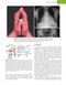 Firestein & Kelley’s Textbook of Rheumatology, 12th Edition 2025