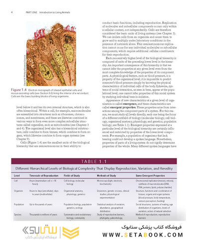 Loose Leaf for Integrated Principles of Zoology 19th Edition 2024