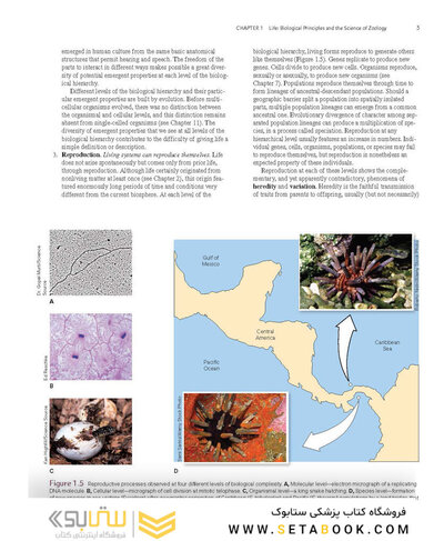 Loose Leaf for Integrated Principles of Zoology 19th Edition 2024
