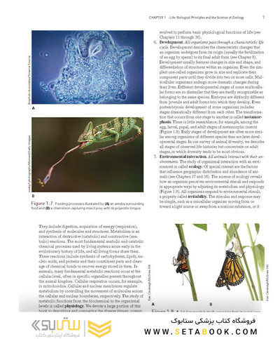 Loose Leaf for Integrated Principles of Zoology 19th Edition 2024