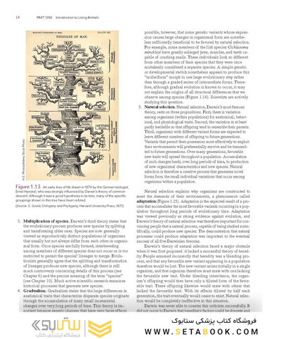 Loose Leaf for Integrated Principles of Zoology 19th Edition 2024