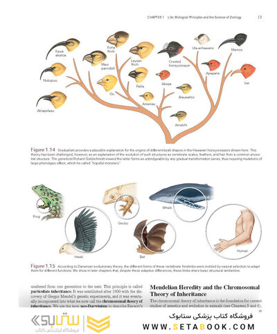 Loose Leaf for Integrated Principles of Zoology 19th Edition 2024