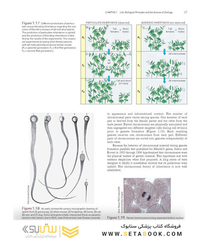 Loose Leaf for Integrated Principles of Zoology 19th Edition 2024