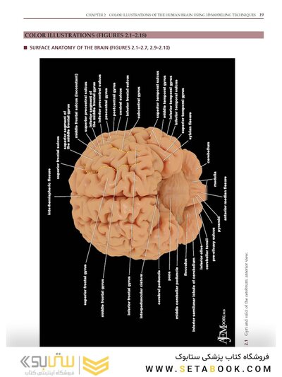 Imaging Anatomy of the Human Brain: A Comprehensive Atlas Including Adjacent Structures 1st Edition 2016