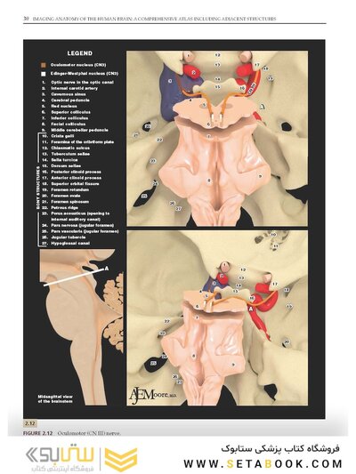 Imaging Anatomy of the Human Brain: A Comprehensive Atlas Including Adjacent Structures 1st Edition 2016