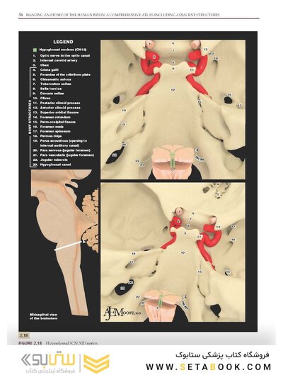 Imaging Anatomy of the Human Brain: A Comprehensive Atlas Including Adjacent Structures 1st Edition 2016