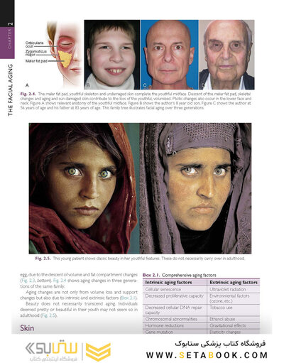 The Art and Science of Facelift Surgery 2nd Edition 2024