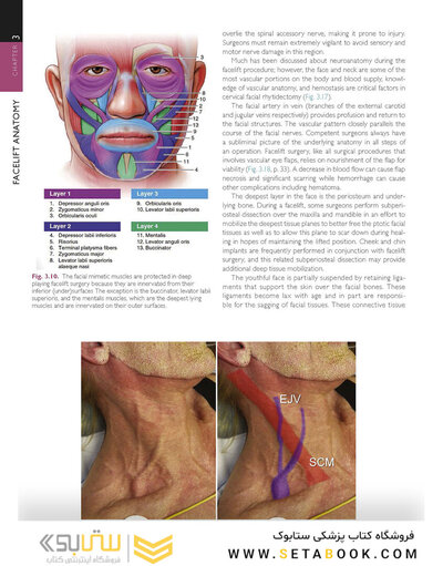 The Art and Science of Facelift Surgery 2nd Edition 2024