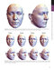 The Art and Science of Facelift Surgery 2nd Edition 2024