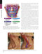 The Art and Science of Facelift Surgery 2nd Edition 2024