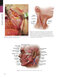 The Art and Science of Facelift Surgery 2nd Edition 2024