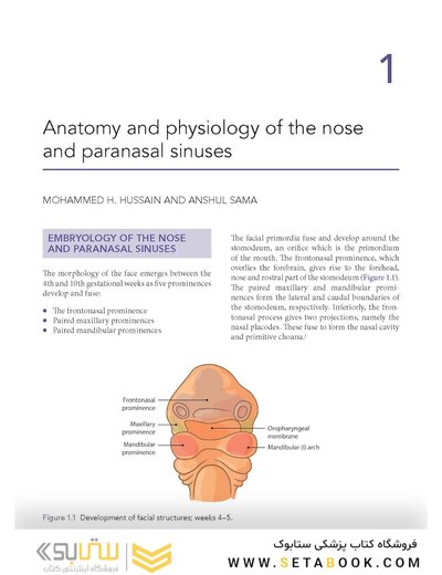 Logan Turner's Diseases of the Nose, Throat and Ear: Head and Neck Surgery, 12th Edition 12th Edition