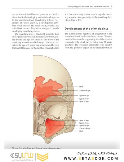 Logan Turner's Diseases of the Nose, Throat and Ear: Head and Neck Surgery, 12th Edition 12th Edition
