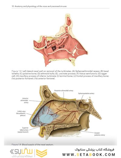 Logan Turner's Diseases of the Nose, Throat and Ear: Head and Neck Surgery, 12th Edition 12th Edition
