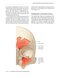 Logan Turner's Diseases of the Nose, Throat and Ear: Head and Neck Surgery, 12th Edition 12th Edition