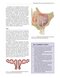 Logan Turner's Diseases of the Nose, Throat and Ear: Head and Neck Surgery, 12th Edition 12th Edition