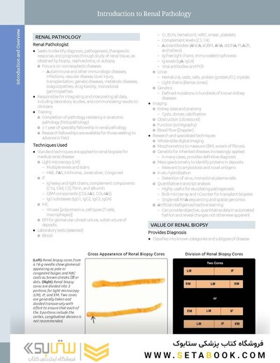 Diagnostic Pathology: Kidney Diseases 4th Edicion 2023