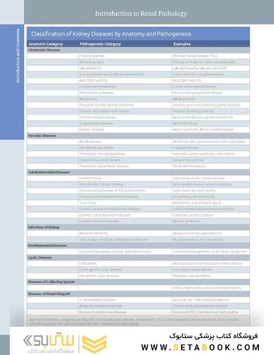 Diagnostic Pathology: Kidney Diseases 4th Edicion 2023