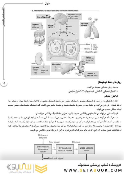 AGK درسنامه فیزیولوژی پزشکی 2جلدی (ویژه کارشناسی ارشد و دکتری رشته فیزیولوژی وزارت بهداشت و دکتری فارماکولوژی و فیزیولوژی ورزشی)