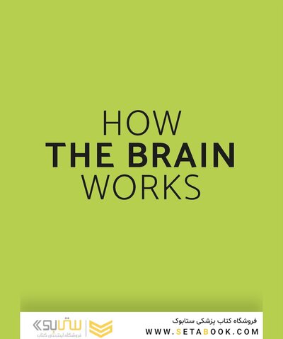 The Brain Fitness Book: Activities and puzzles to keep your mind active and healthy