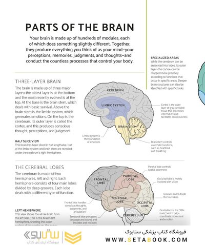 The Brain Fitness Book: Activities and puzzles to keep your mind active and healthy
