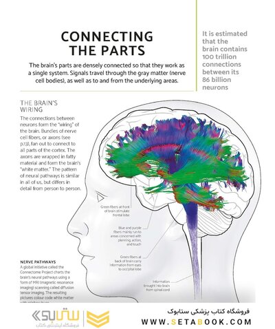 The Brain Fitness Book: Activities and puzzles to keep your mind active and healthy