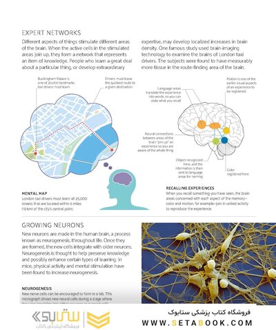 The Brain Fitness Book: Activities and puzzles to keep your mind active and healthy