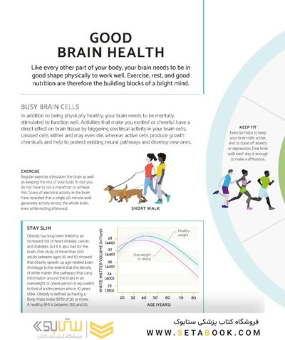 The Brain Fitness Book: Activities and puzzles to keep your mind active and healthy